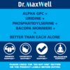 Dr. Maxwell Alpha GPC Uridine cápsulas