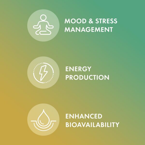 Etiqueta ingredientes Dr. Mercola Complejo B