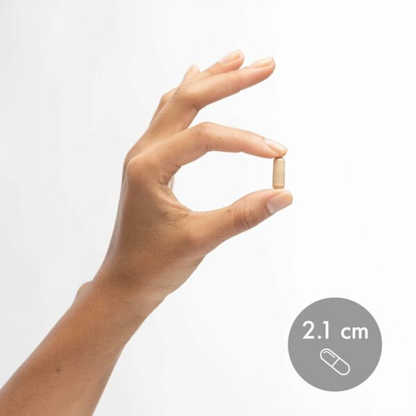 Etiqueta Dr Mercola Probiotics SBO