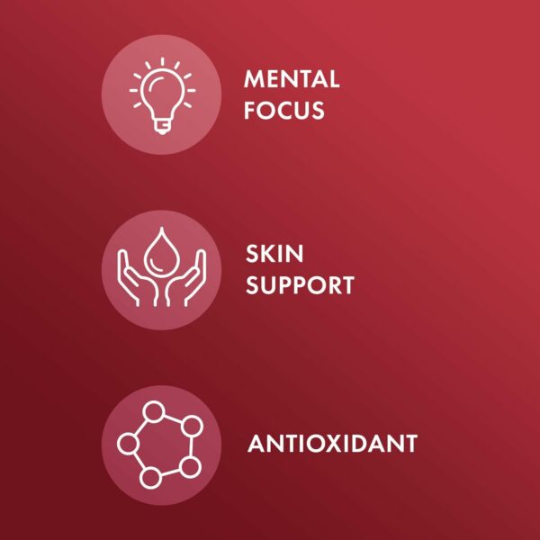 Dr. Mercola extracto de semilla de uva para circulación