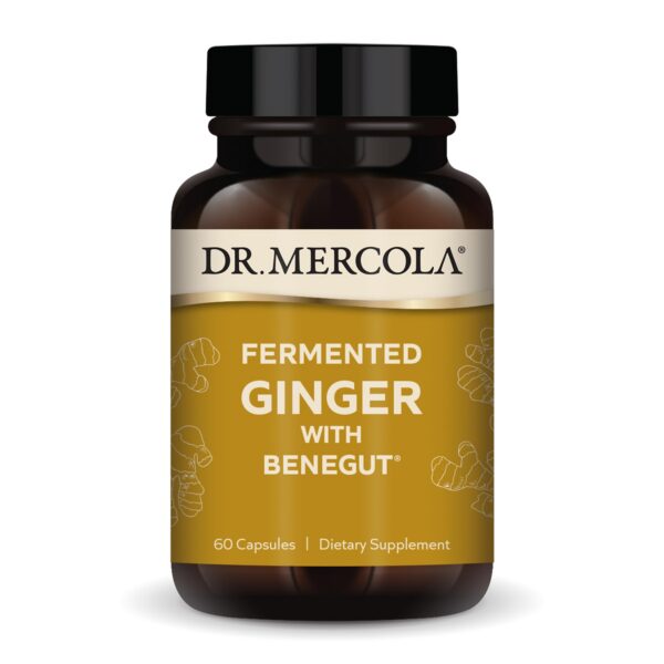 Dr. Mercola jengibre fermentado orgánico suplemento digestivo