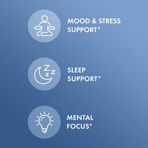 Etiqueta de Dr. Mercola L-Theanine + GABA