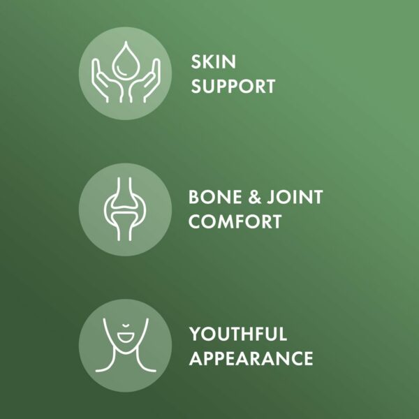 Version 1.0.0 Envase del producto Dr. Mercola Colágeno en Polvo