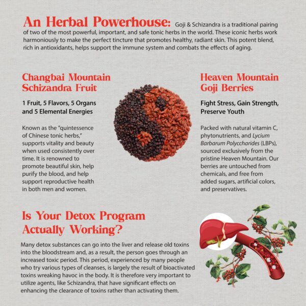 Frasco de tintura oscura Dragon Herbs