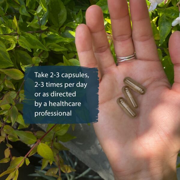 Detalle de la etiqueta con información