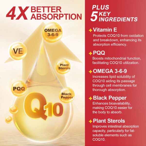 Version 1.0.0 Etiqueta suplemento Quinovit CoQ10 antioxidante y energía