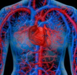 Bolsa de ácido ascórbico puro suplemento vitamínico para piel