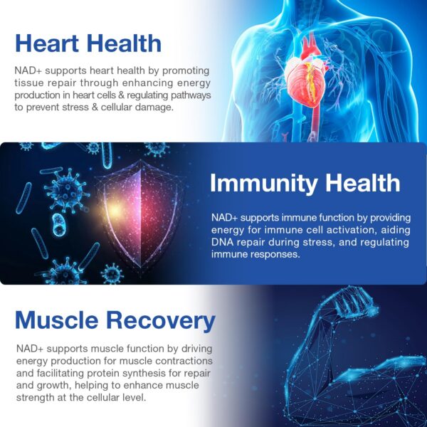 Caja y cápsulas visibles en imagen de producto