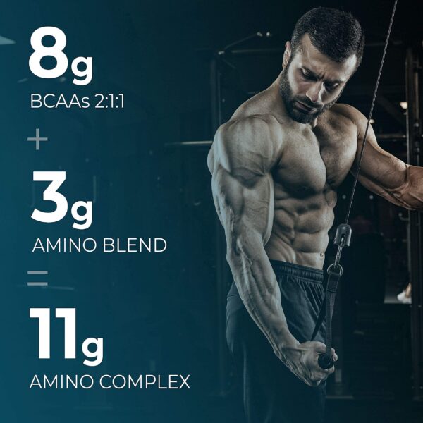 Version 1.0.0 Polvo de aminoácidos en Durasport