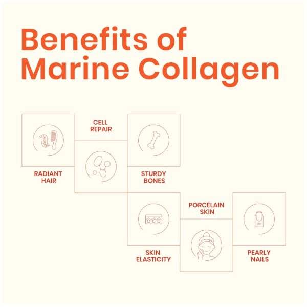 EarthNutri Sunset Vibe etiqueta lateral