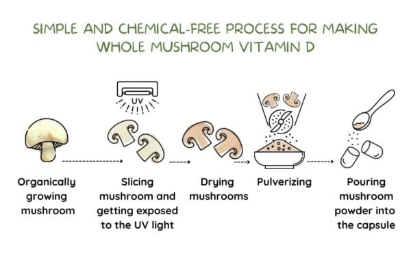 Frasco con cápsulas y etiqueta