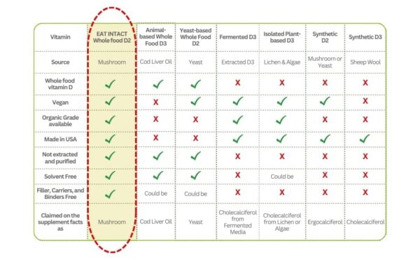 Detalle de hongo orgánico y cápsula vegana