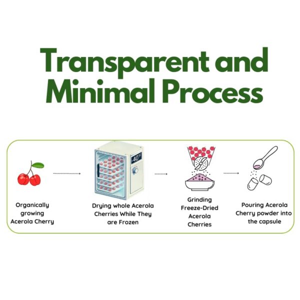 Version 1.0.0 Cápsula Vegana Orgánica