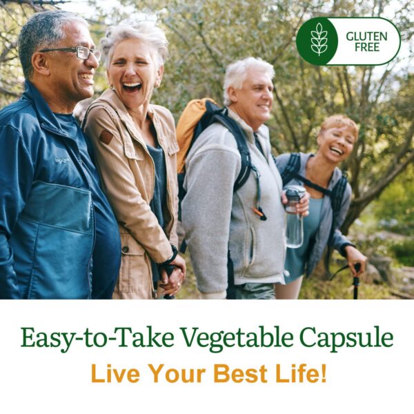 Version 1.0.0 Detalle de ingredientes en etiqueta