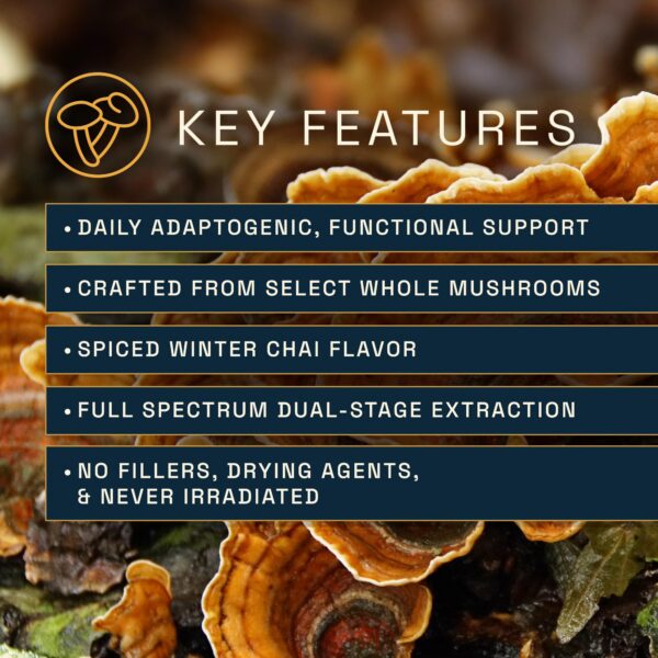 Version 1.0.0 Elixir de Hongos Funcionales con Sabor a Chai