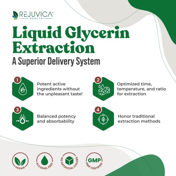 Version 1.0.0 Embalaje DigestaPro suplemento líquidos digestivos avanzado