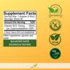 Embalaje Herb-Science vitamina b12 líquida para absorción rápida