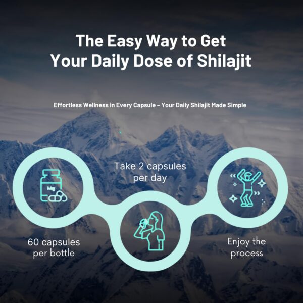 Version 1.0.0 Embalaje y diseño de HOLIVANCE Shilajit suplemento natural