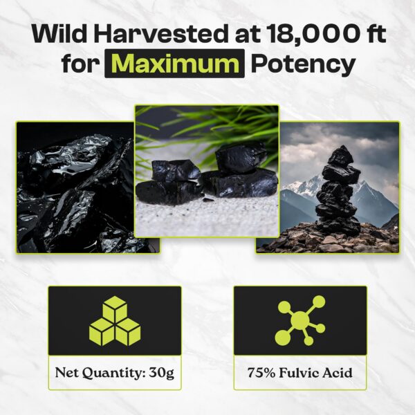 Embalaje de shilajit orgánico Himalayan grado oro