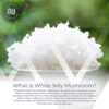 Etiqueta del suplemento de cápsulas hongo jelly blanco