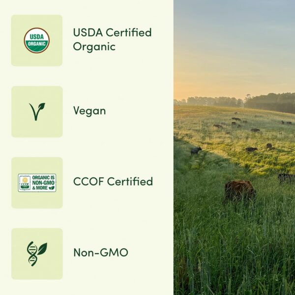 Multi vitaminas orgánicas EarthFirst en envase