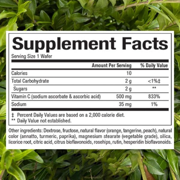 Empaque frontal vitaminas niños Natural Factors