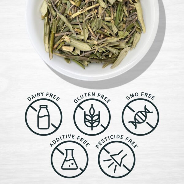 Version 1.0.0 Empaque y hojas de olivo secas Evergreen Herbs