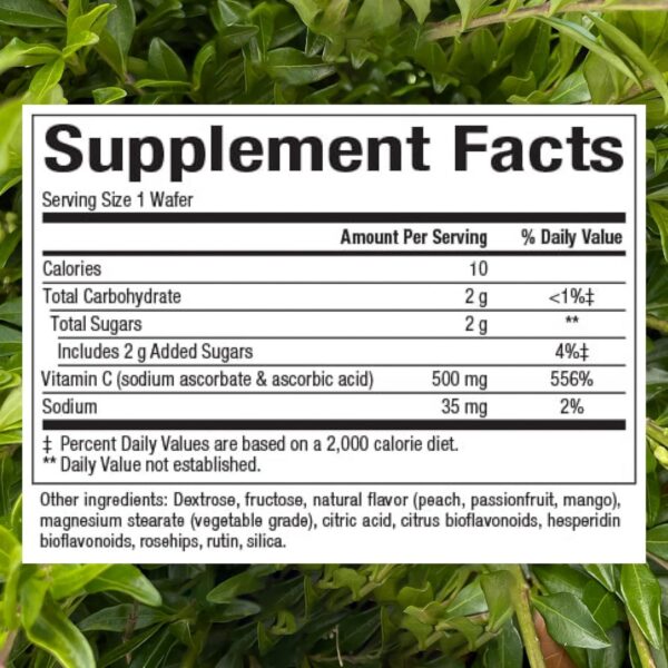 Empaque Natural Factors vitamina c niños 180 obleas