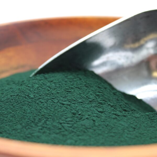 Detalle bolsa polvo orgánico espirulina Naturejam