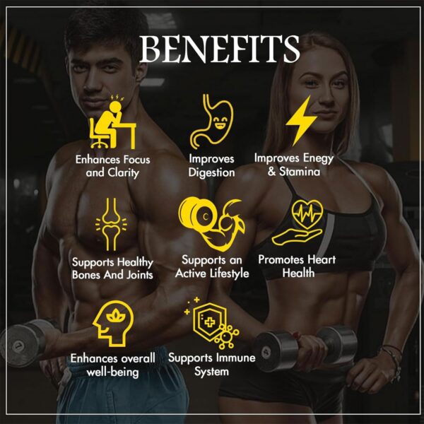 Empaque premium de resina de shilajit adaptógeno ayurvédico