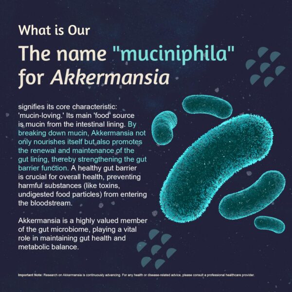 Empaque del suplemento probiótico Akkermansia ATLEMISME