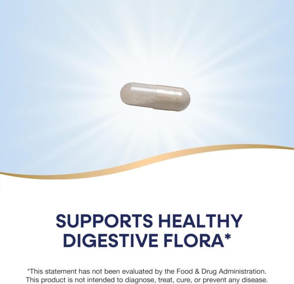 Empaque del probiótico Nature's Way con fórmula retardada