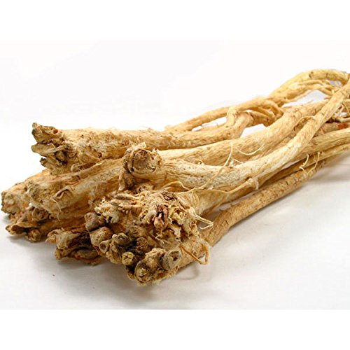 Empaque raíz astrágalo Huang Qi natural 32 oz Nature Tea