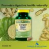Version 1.0.0 Frontal del empaque de suplementos de jengibre orgánico 550 mg
