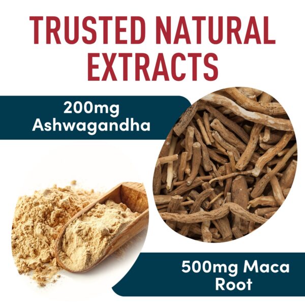 Empaque de vitaminas vegan WINDSOR BOTANICALS para fertilidad