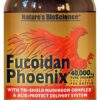 Envasado Fucoidan Phoenix elaborado en EE.UU.