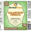 Version 1.0.0 Envase de 2oz Herbal Terra Kalanchoe Pinnata sin alcohol orgánico