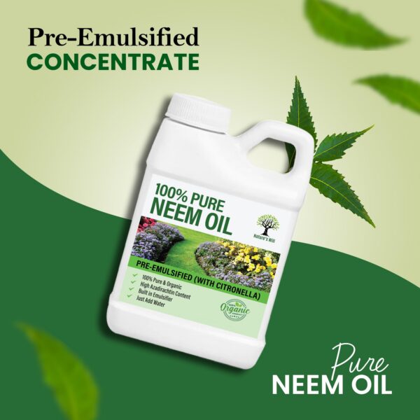 Envase aceite neem puro con citronela Nature’s Will 1 galón