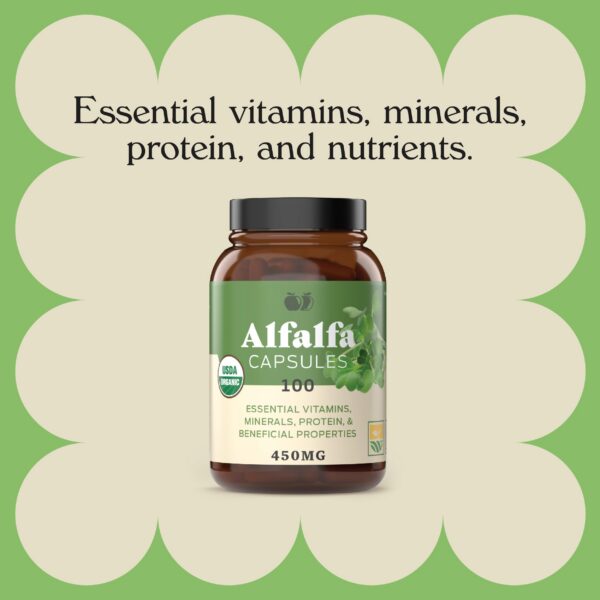 Version 1.0.0 Envase cápsulas alfalfa pura orgánica Complete Natural