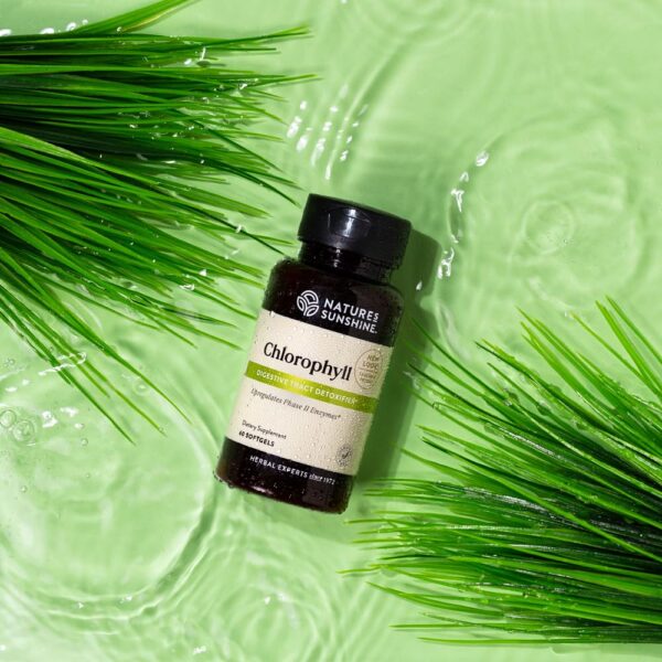 Envase de cápsulas blandas clorofila Nature's Sunshine