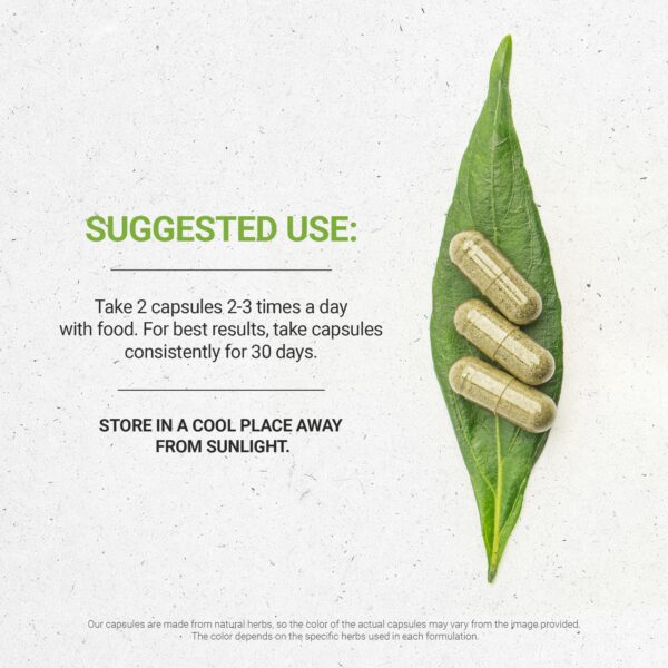 Version 1.0.0 Etiqueta Secrets of the Tribe Cellulite Secret