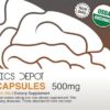 Envase de cápsulas de hongo Chaga 500mg