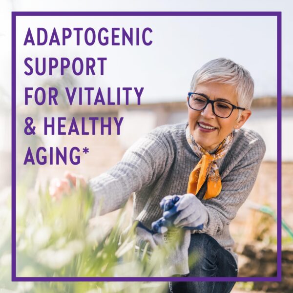 Version 1.0.0 Envase de cápsulas Reishi mostrando etiqueta orgánica