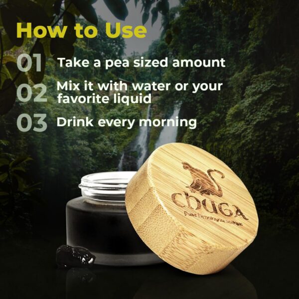 Version 1.0.0 Envase Chuga Shilajit con extracto de montaña Himalaya