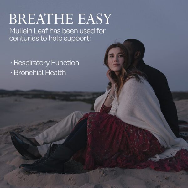 Envase doble paquete SOLARAY 100 cápsulas hoja de gordolobo