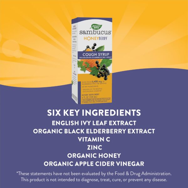 Envase y etiqueta jarabe HoneyBerry Saúco Negro