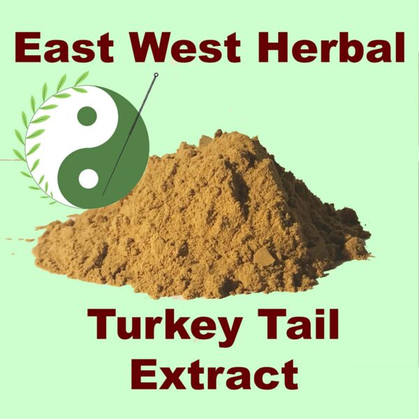 Envase de extracto de hongo Cola de Pavo 1 onza