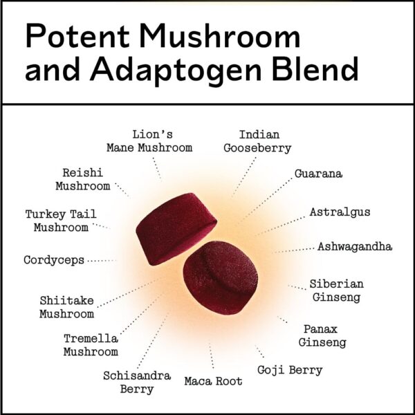 Envase frontal gomitas hongos Barker Wellness 60 unidades