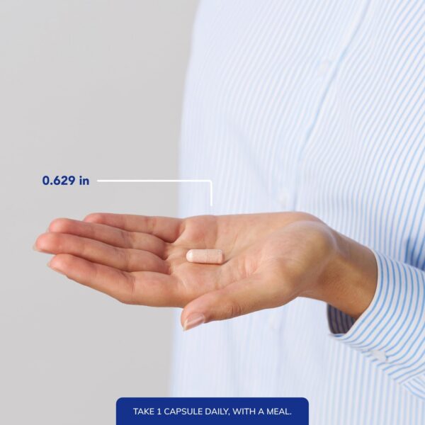 Version 1.0.0 Envase frontal y diseño de MethylAssist