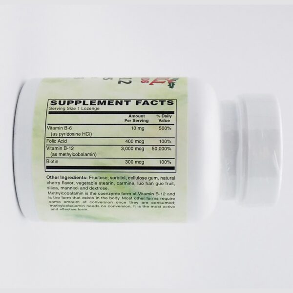 Version 1.0.0 Envase frontal Metil B12 50 pastillas sabor cereza Holly Hill